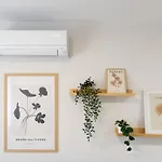 Venegas Urban By Bevacacional * Las Palmas de Gran Canaria